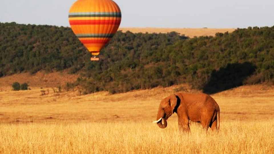 Tanzania Safari